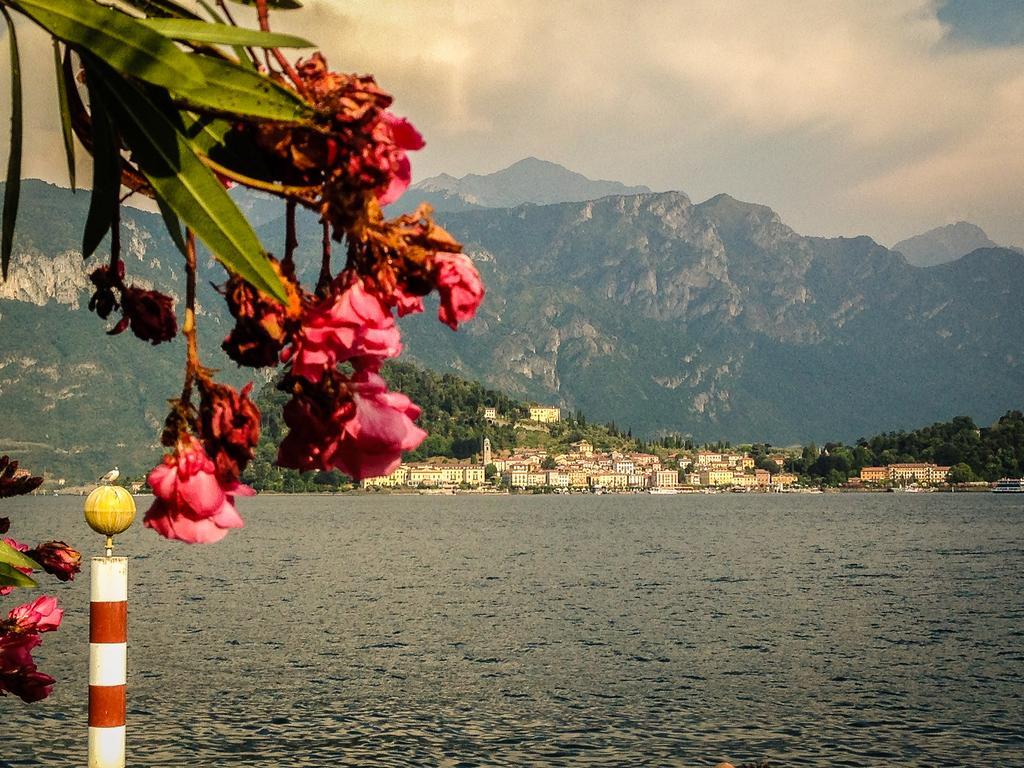 La Casa Di Celeste Ossuccio Cameră foto